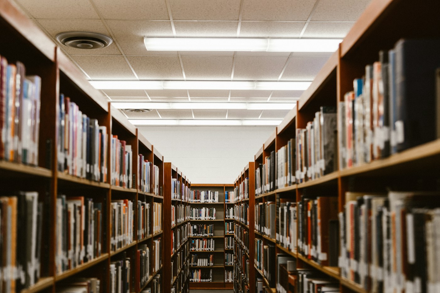 Sunlight falling across shelves of books in a library